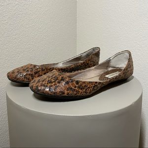 Steve Madden Leopard Print Ballet Flats - Size 8.5
